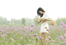 一壶茶香，尽享百态人生