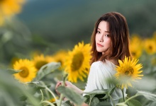 品味菊花香：润喉养颜两不误
