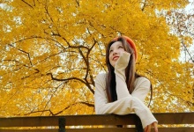 品味菊花香：润喉养颜两不误